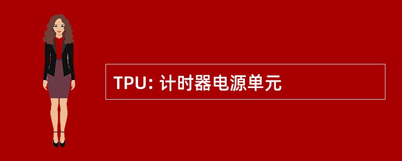 TPU: 计时器电源单元