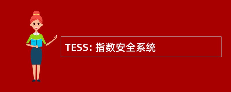 TESS: 指数安全系统