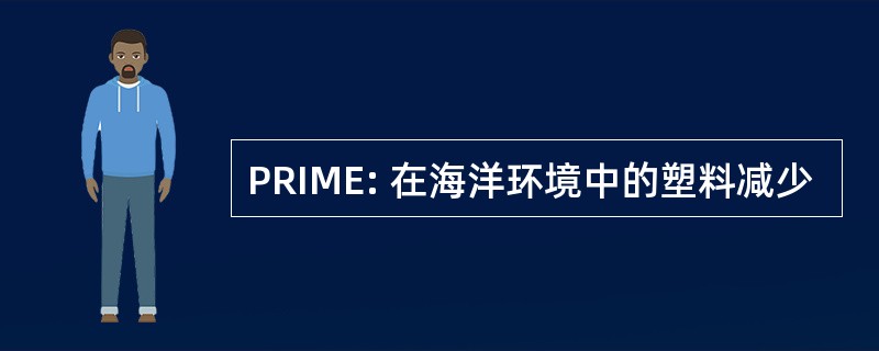 PRIME: 在海洋环境中的塑料减少