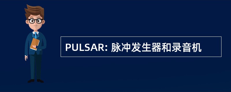 PULSAR: 脉冲发生器和录音机