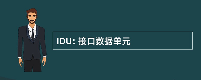 IDU: 接口数据单元