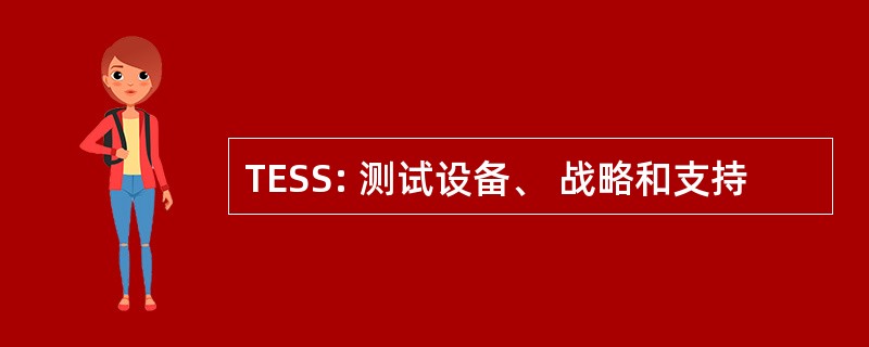 TESS: 测试设备、 战略和支持