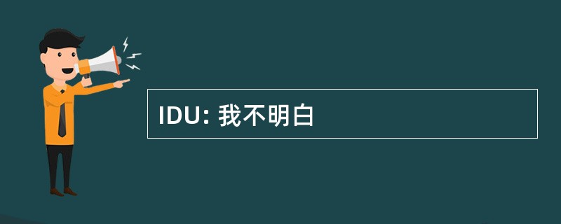 IDU: 我不明白