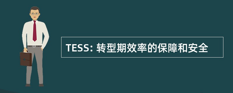 TESS: 转型期效率的保障和安全