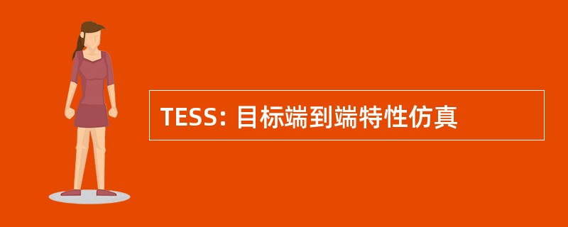 TESS: 目标端到端特性仿真