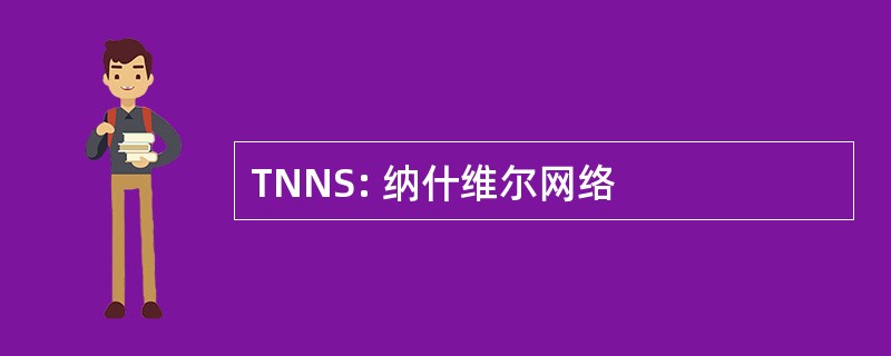 TNNS: 纳什维尔网络