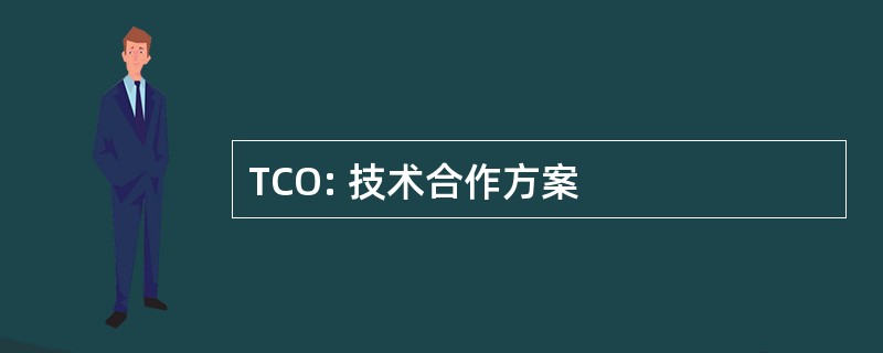 TCO: 技术合作方案