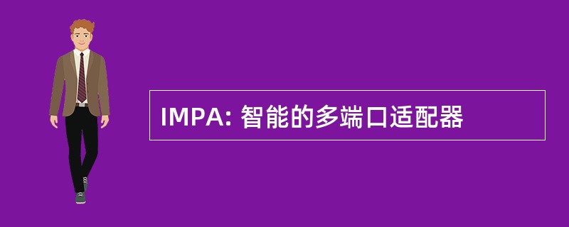 IMPA: 智能的多端口适配器