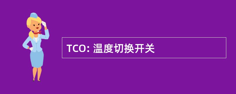 TCO: 温度切换开关