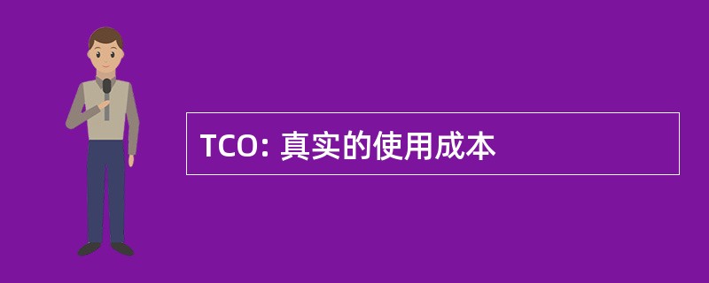 TCO: 真实的使用成本