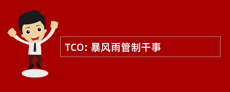 TCO: 暴风雨管制干事