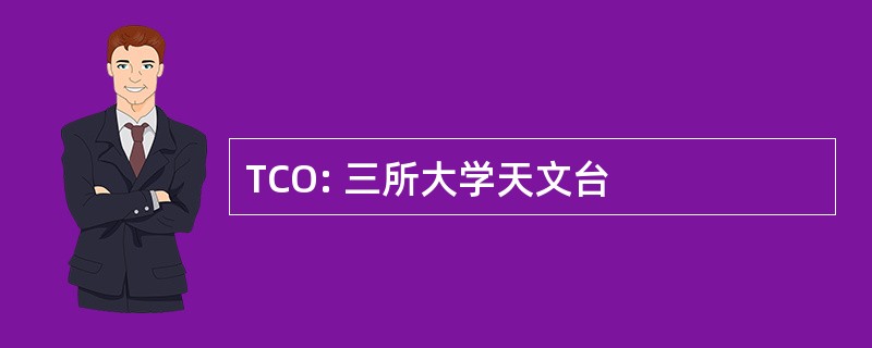 TCO: 三所大学天文台