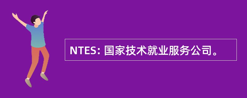 NTES: 国家技术就业服务公司。