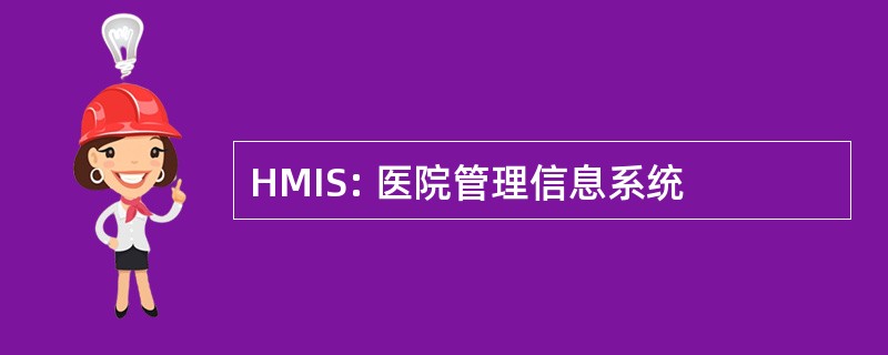 HMIS: 医院管理信息系统