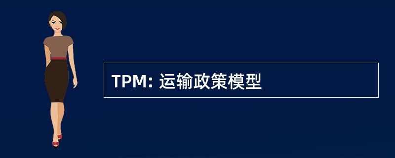 TPM: 运输政策模型