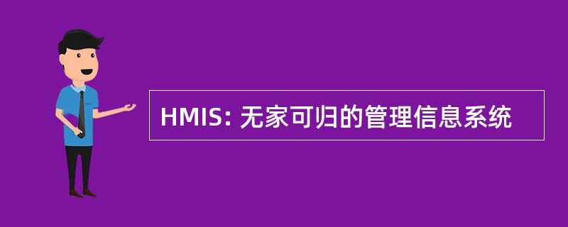 HMIS: 无家可归的管理信息系统