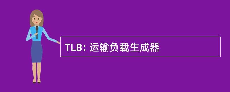 TLB: 运输负载生成器