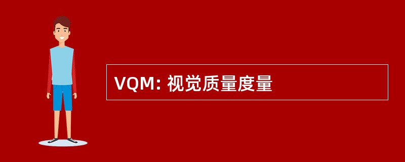 VQM: 视觉质量度量