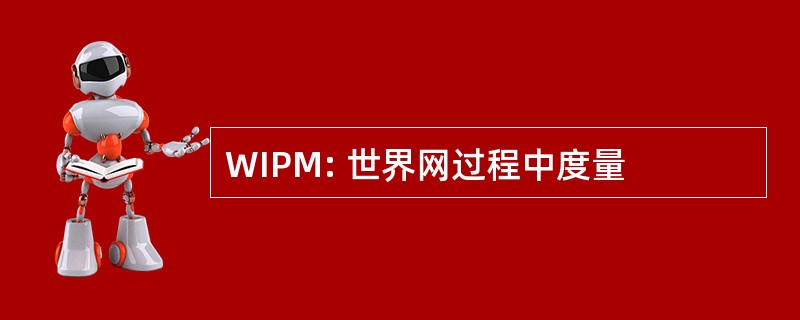 WIPM: 世界网过程中度量