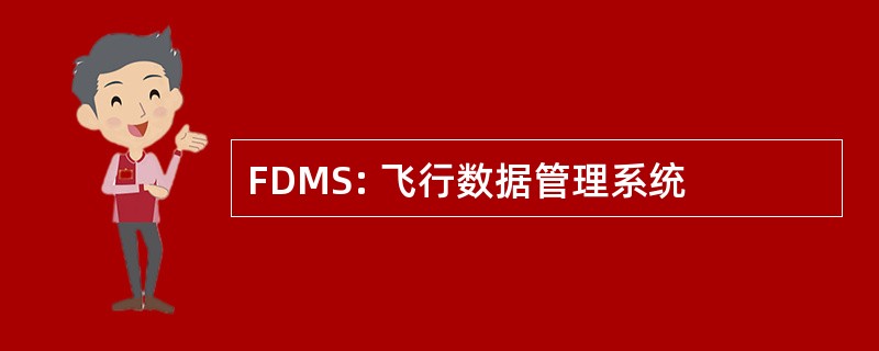 FDMS: 飞行数据管理系统