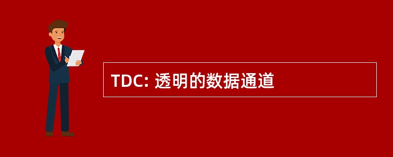 TDC: 透明的数据通道