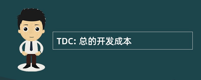 TDC: 总的开发成本