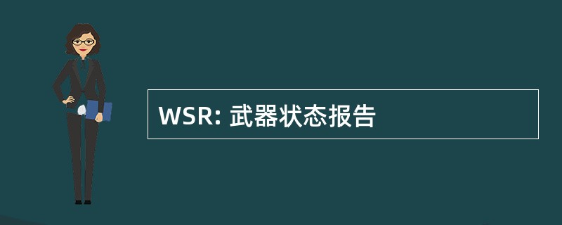 WSR: 武器状态报告