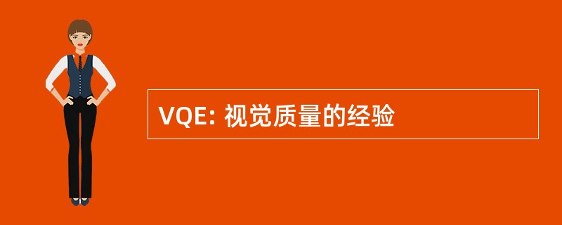 VQE: 视觉质量的经验