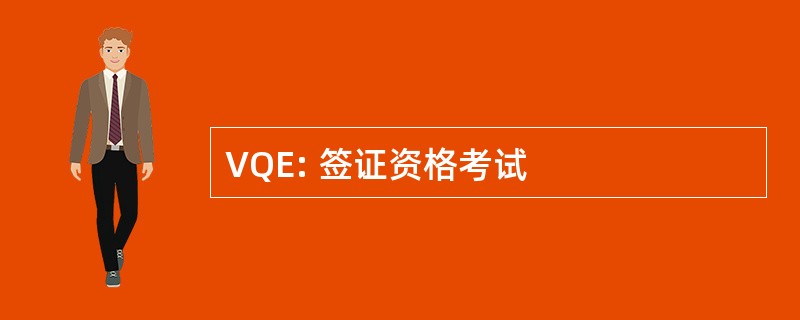 VQE: 签证资格考试