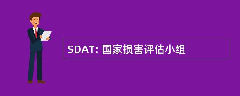 SDAT: 国家损害评估小组