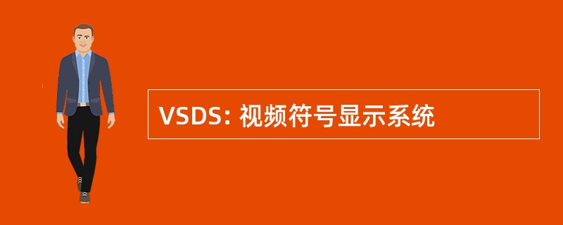 VSDS: 视频符号显示系统