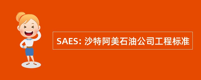 SAES: 沙特阿美石油公司工程标准