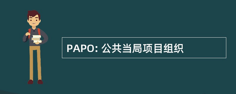 PAPO: 公共当局项目组织