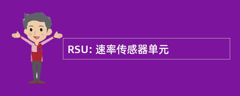 RSU: 速率传感器单元