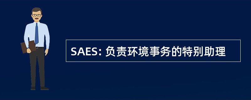 SAES: 负责环境事务的特别助理