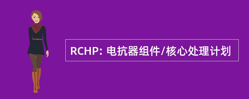 RCHP: 电抗器组件/核心处理计划