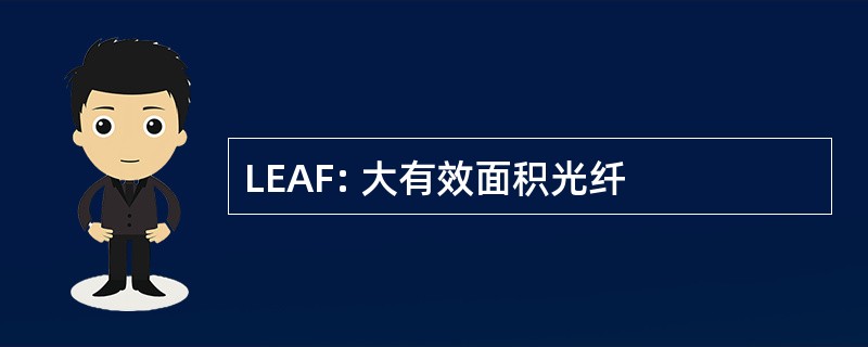 LEAF: 大有效面积光纤