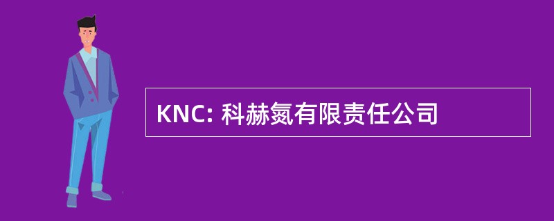 KNC: 科赫氮有限责任公司