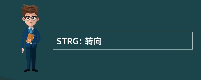 STRG: 转向