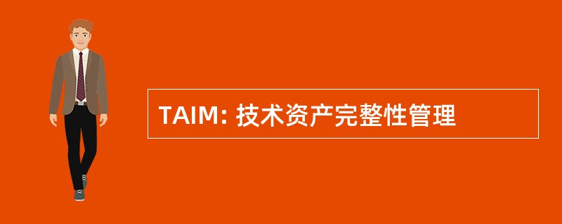 TAIM: 技术资产完整性管理