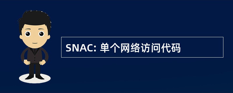 SNAC: 单个网络访问代码