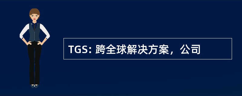 TGS: 跨全球解决方案，公司