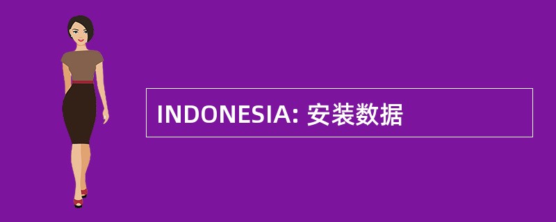 INDONESIA: 安装数据