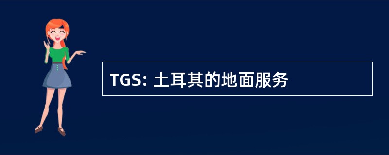 TGS: 土耳其的地面服务