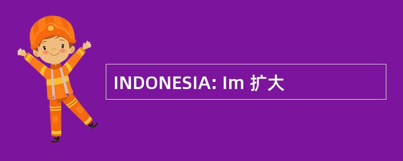 INDONESIA: Im 扩大