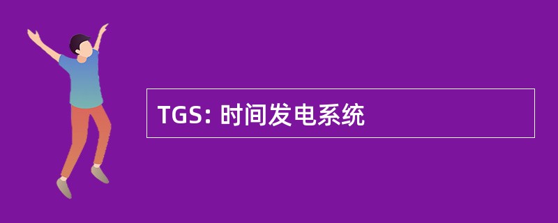 TGS: 时间发电系统