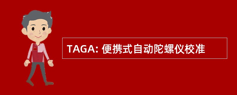 TAGA: 便携式自动陀螺仪校准