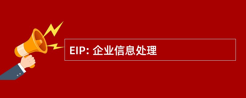 EIP: 企业信息处理