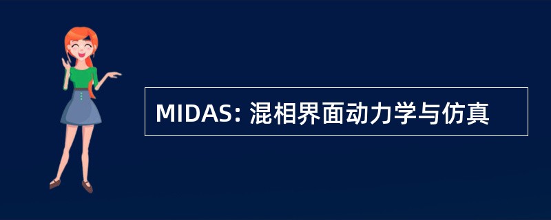 MIDAS: 混相界面动力学与仿真