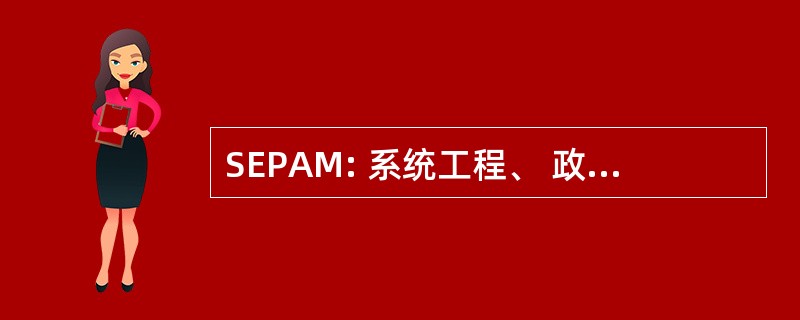 SEPAM: 系统工程、 政策分析和管理